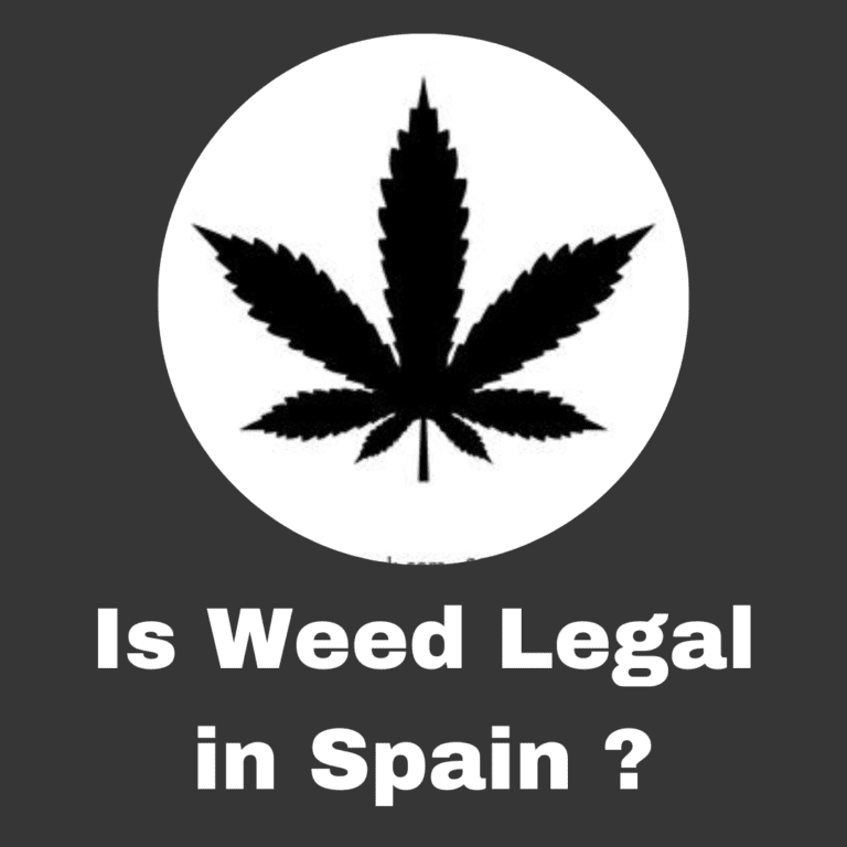 Read more about the article Is weed legal in Spain ?