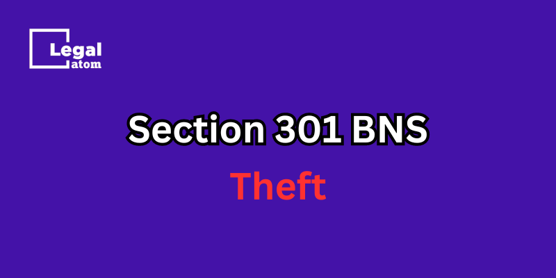 Section 301 BNS